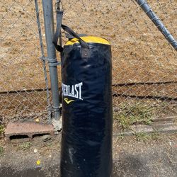 Punching Bag
