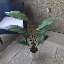 Fake Plant With Ceramic Pot