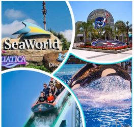 Seaworld & Aquatica 🎟️