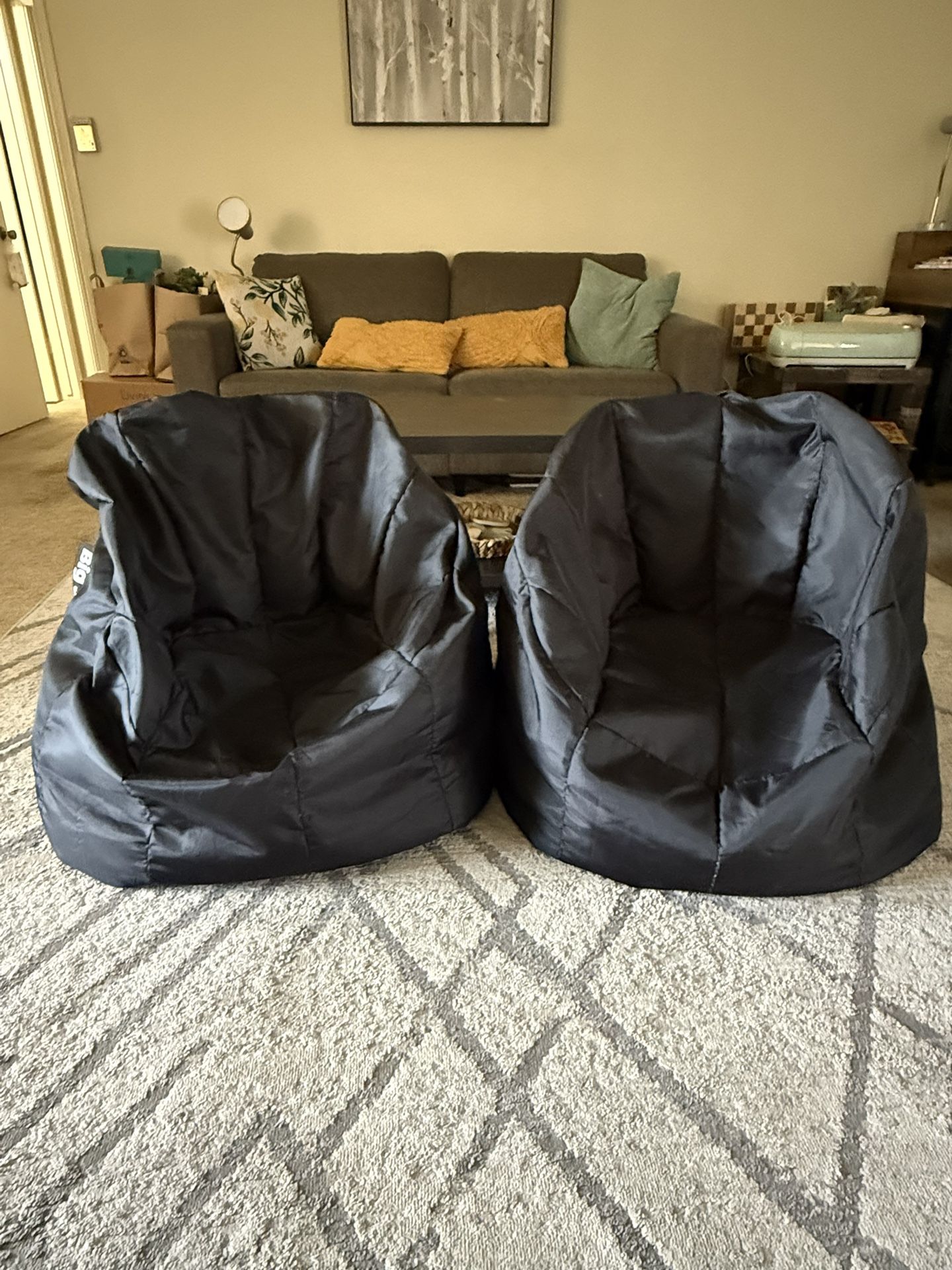Big Joe Bean Bags