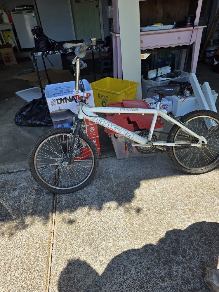 Magna Bike Circa 1990s