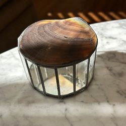 Vintage Hand Crafted Seeded Natural Shell Box Mirrored Jewelry Collectible Trinket Nautical Sea Ocean Rare Mid Century 