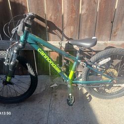 Canondale Happy Trails 20" Mountain Bike