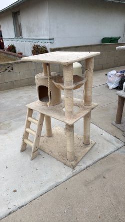Cat house