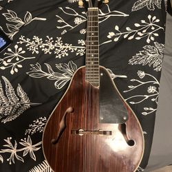 Kay 1970’s 8-String Mandolin