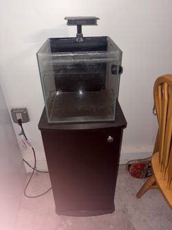 7 gallon aquarium and  stand