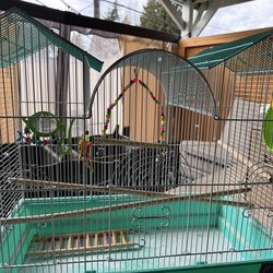 Bird cage with toys