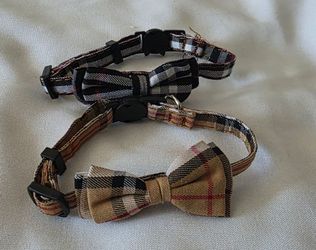 Cats collar with bell