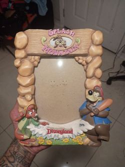 vintage Disneyland Splash Mountain 3D picture frame ($60 OBO)