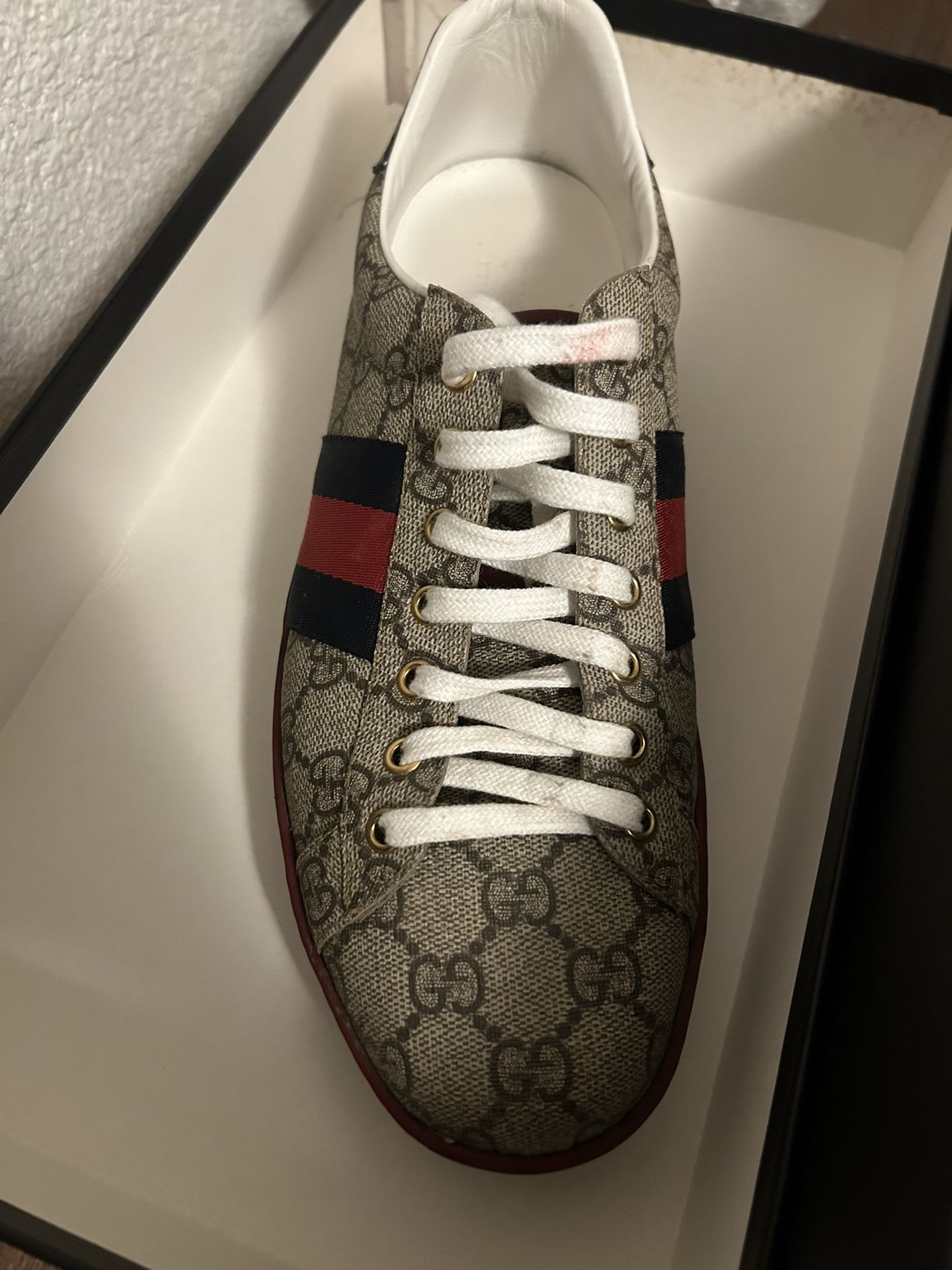 Gucci Shoes 