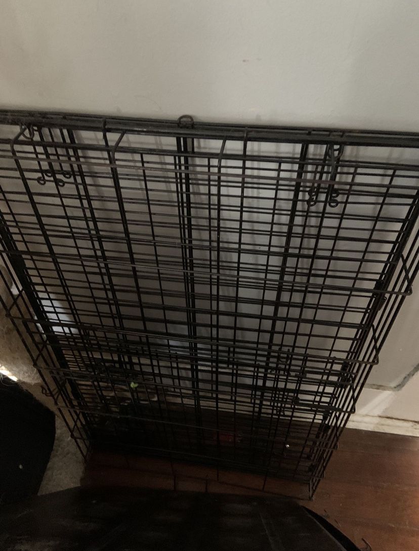 Dog Cage