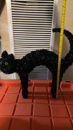 Halloween black cat