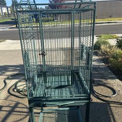 Parrot Cage 