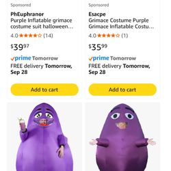 Grimace Blow Up Costume (kids)