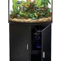 Curved Fish Tank/stand