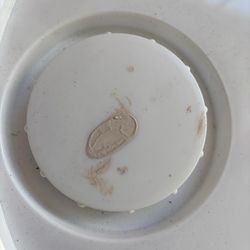 Home Depot Bear paint  the sheen  is dead flat paint custom color stone cream
