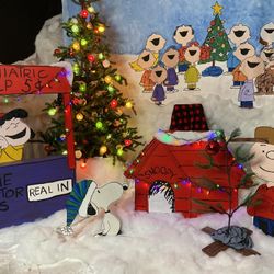 Photo Backdrop Charlie Brown Themed 