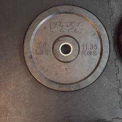  VTX 25 Lb Bumper Plates (pair)