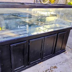 Fish Tank 125 G 