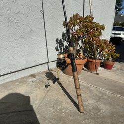 Diawa Revros Lt 3000