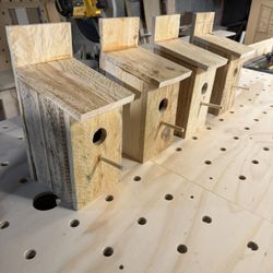 Bird House 