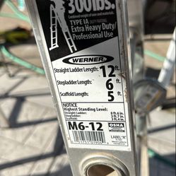 Werner Ladder 