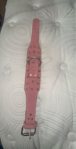 Spike dog collar