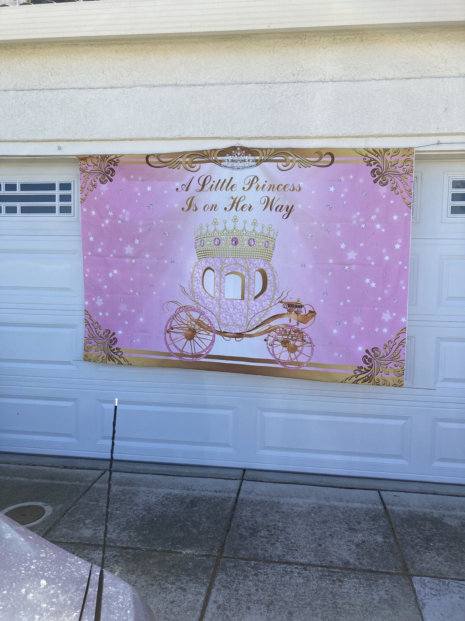 “A Little Princess is on Her Way” Backdrop/Banner