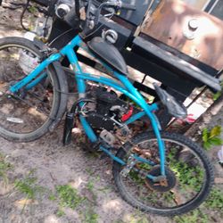 2 Bikes For The Prize Of One 100cc Motor Bike And A Beach Cruiser