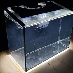6 Gallon Aquarium Tank 