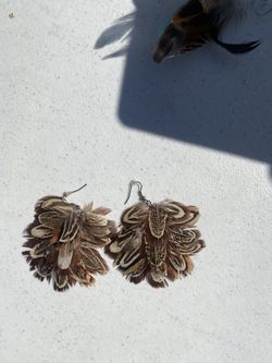 feathered earrings 