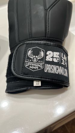 16 oz boxing gloves