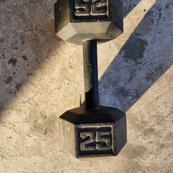 Single 25lb Hex Dumbbell