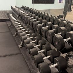 5-100lb Dumbbell Set With Rack