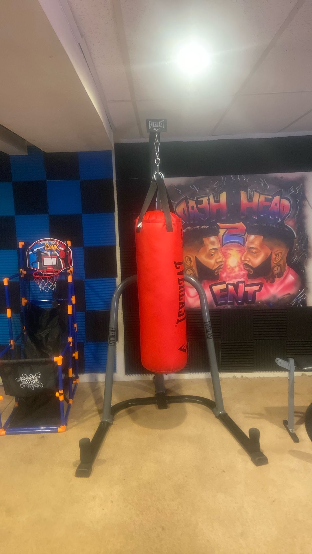 Everlast Punching Bag/with Gloves