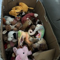 Box Full Of  Retired Rare Authentic Beanie Babies Including Rare Ones 