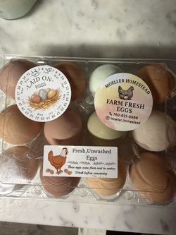 Beautiful Free Range Farm Fresh Unwashed Eggs