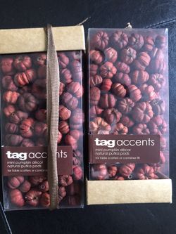 Small Decorative Pumpkins