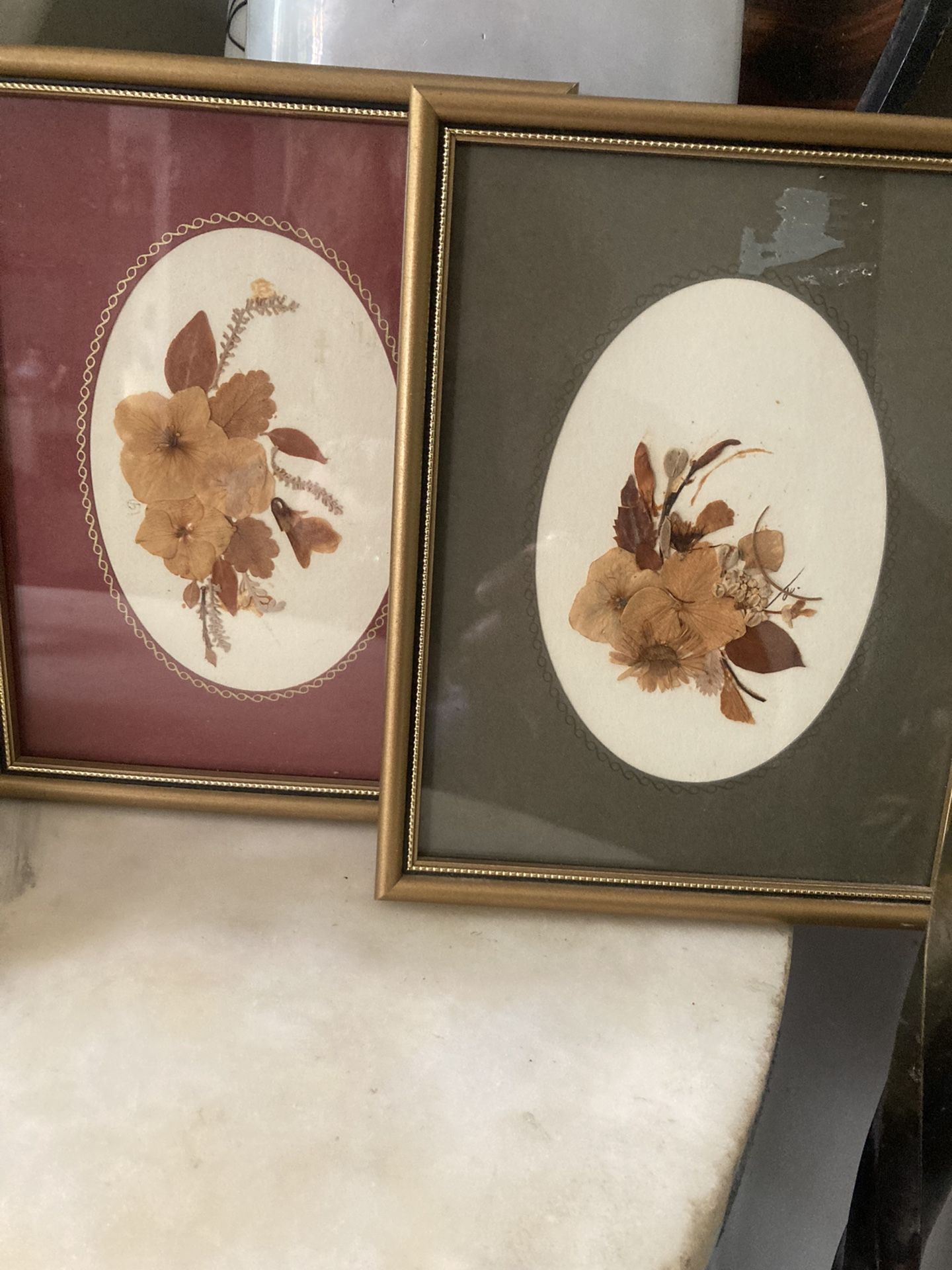 Pair Of 1950s Dried Flower Pictures