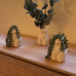 Decorative Planters