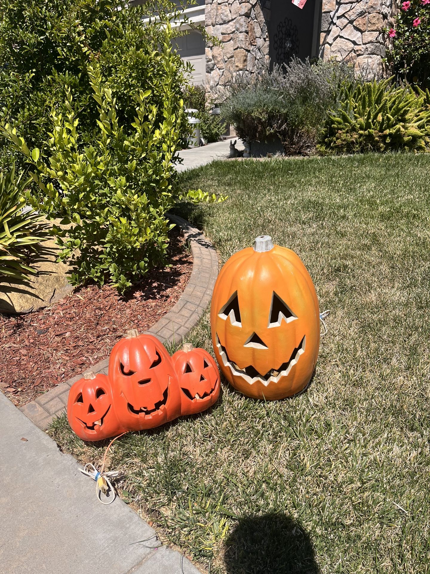 jack O lanterns