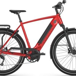 2 Gazelle e-Bikes