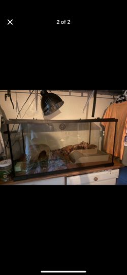 Glass Tank 