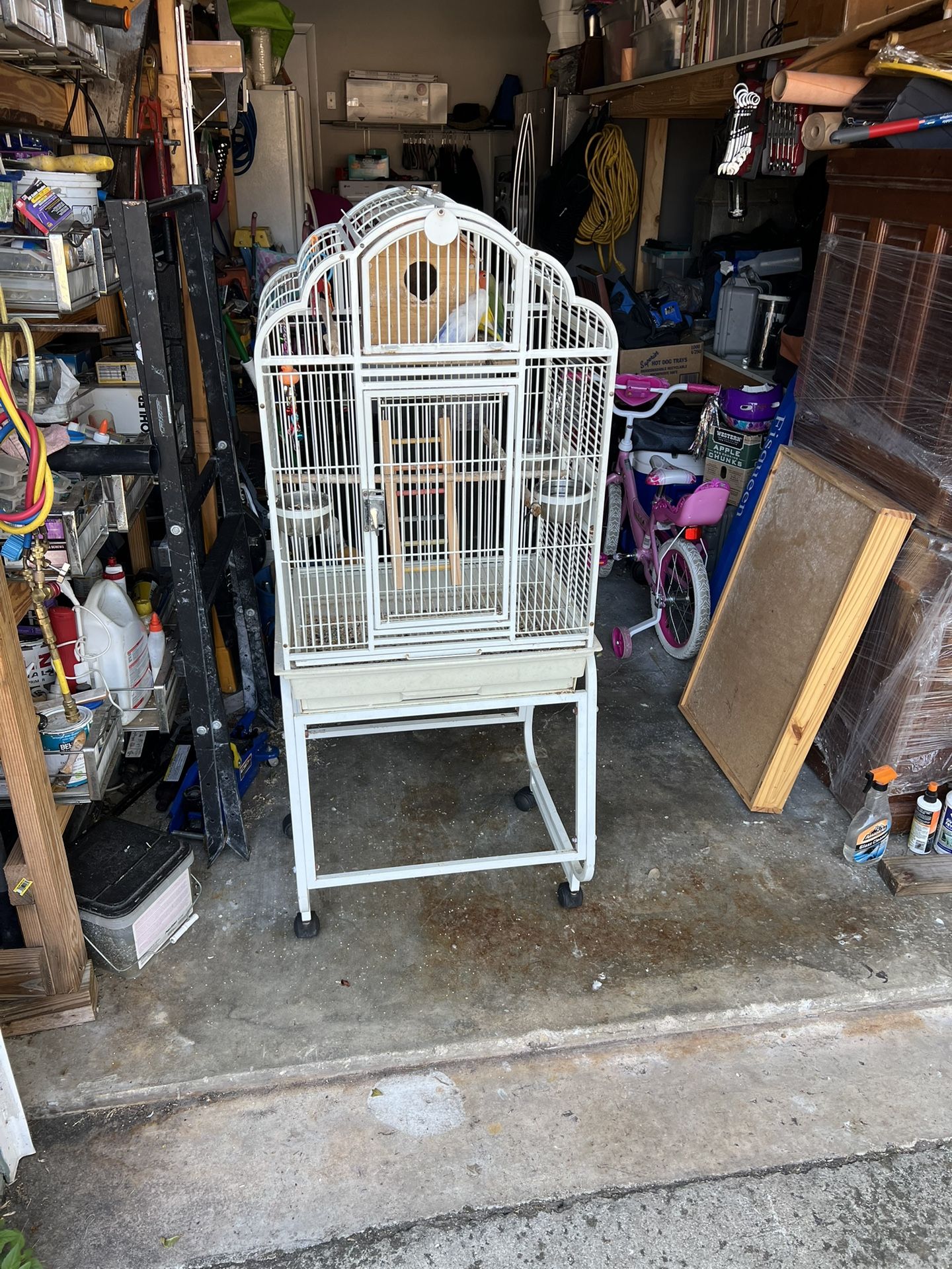 Three Lovebirds And Cage