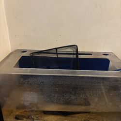 10 Gallon Acrylic Fish Tank 