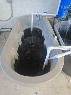 150 gallon fish stock tank with 100 gallon filtration stock tank