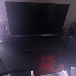 Acer Predator Gaming Monitor