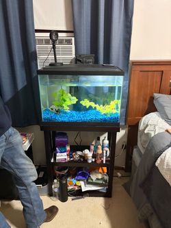 Fish tank and stand and accessories