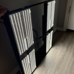 LED Grow Light 4000k 