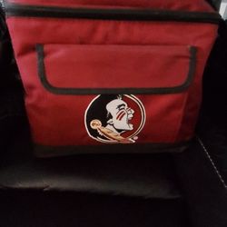 FSU Seminoles Tote Cooler Bag